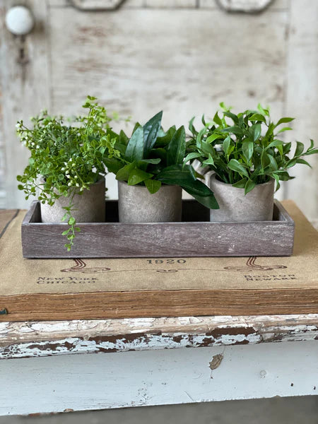 Potted Greenery Trio