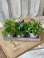 Potted Greenery Trio